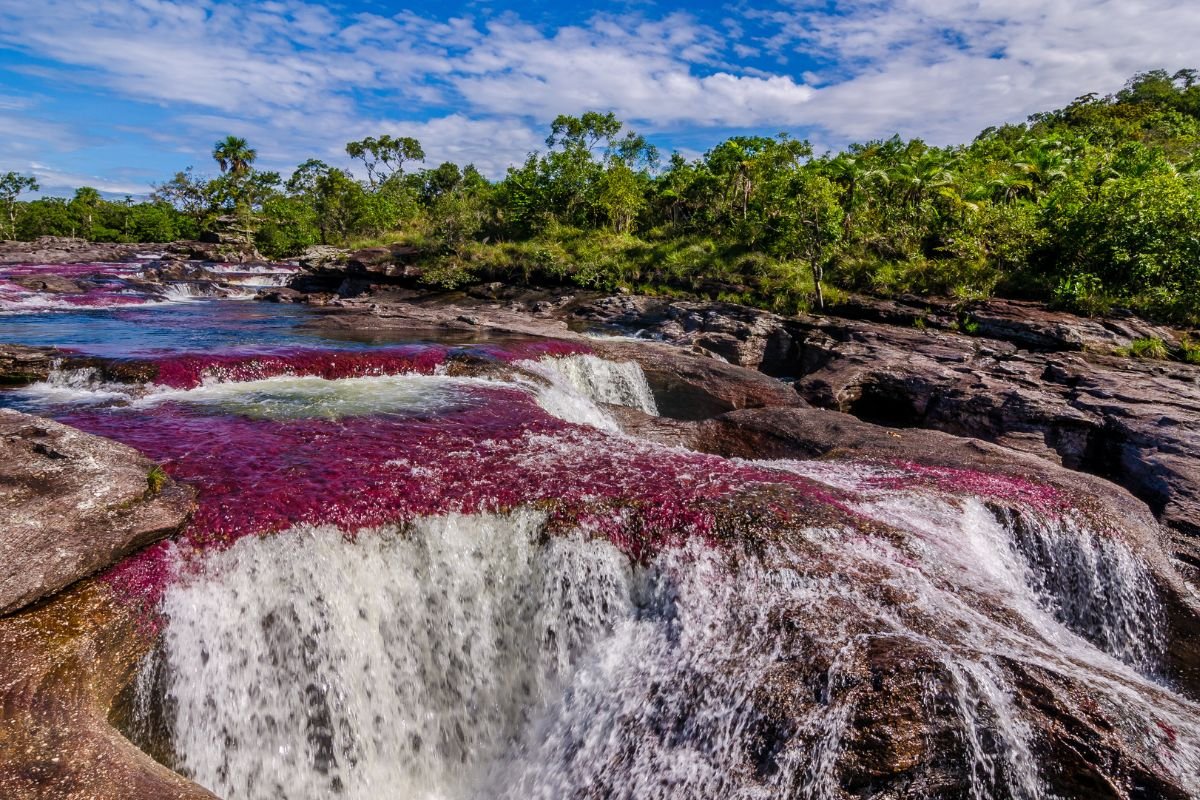 Waterfall over red river plants in Caño Cristales