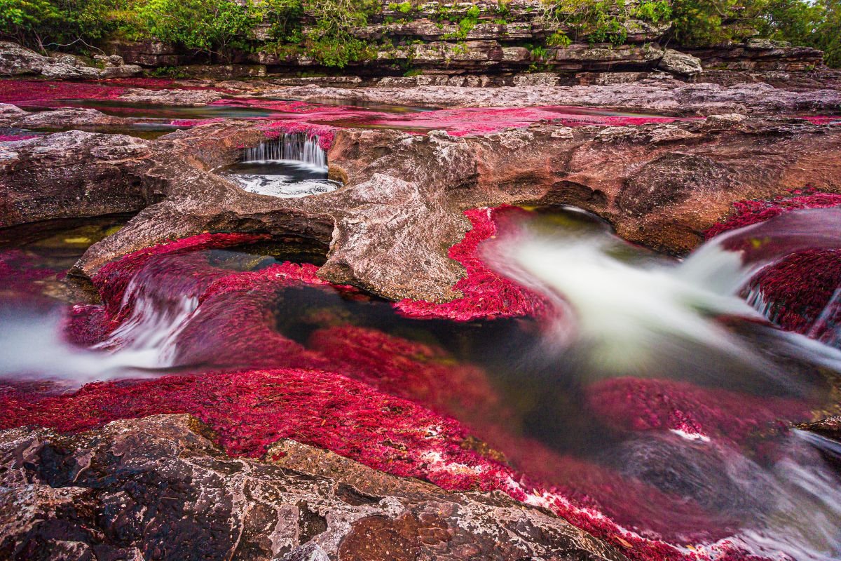 Water rushing through rock potholes lined with red river plants in Caño Cristales