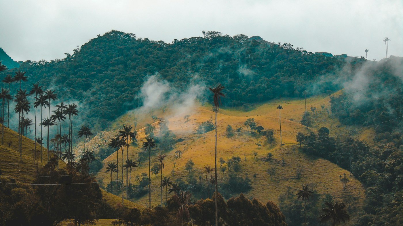 Colombia's Coffee Region