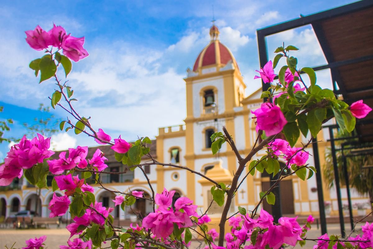 Church tower behind bougainvillea flowers in Mompox