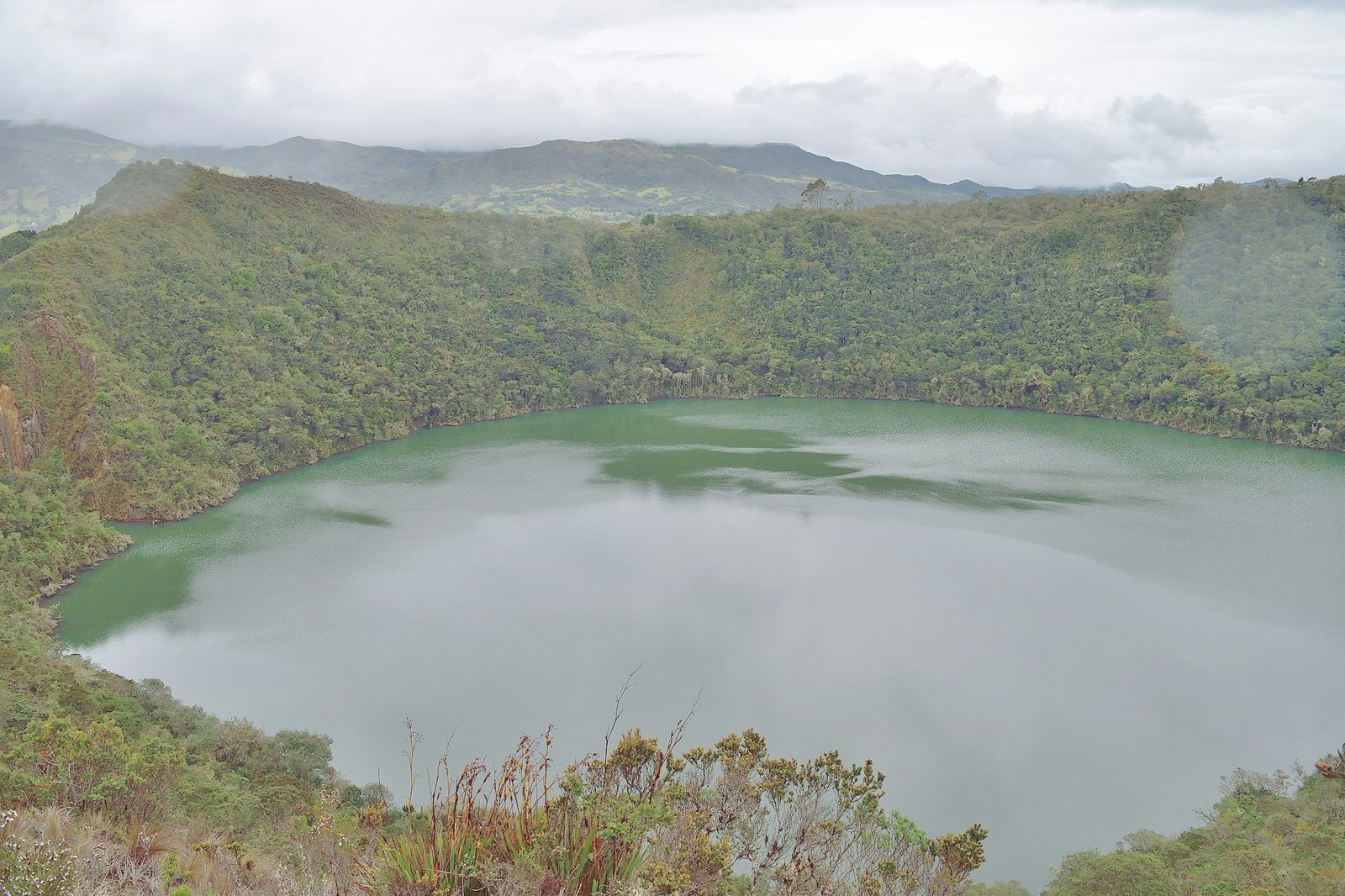 Laguna de Guatavita surrounded by green forest
